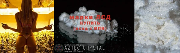 сатива Лагань
