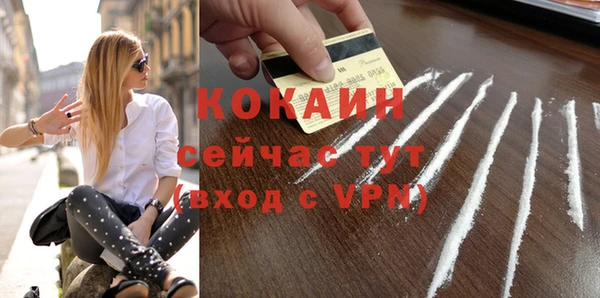 бошки Ладушкин