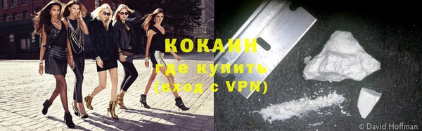 молекула духа Лихославль