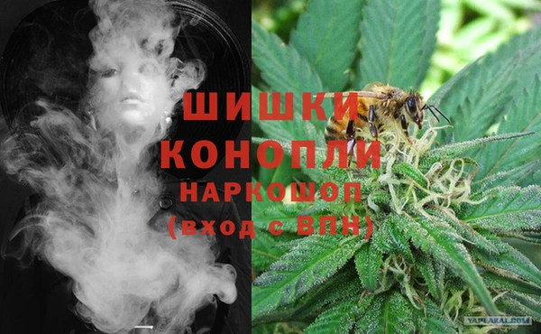 молекула духа Лихославль