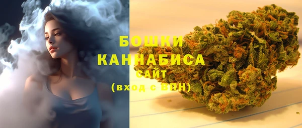 бошки Ладушкин