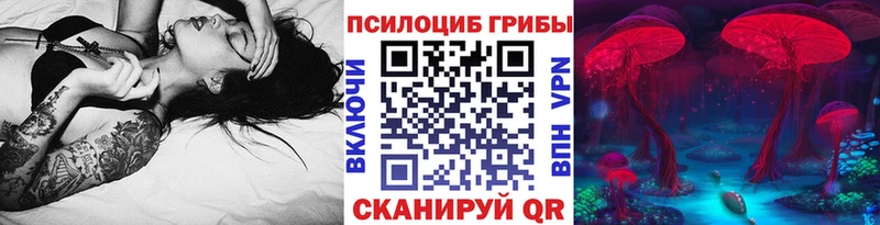 Купить где Называевск Псилоцибиновые грибы мухоморы